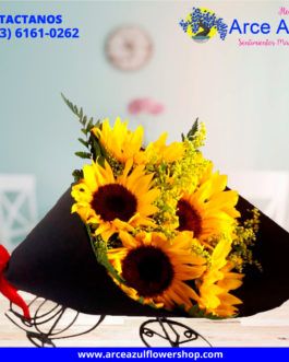 RA-003 Ramo de Girasoles