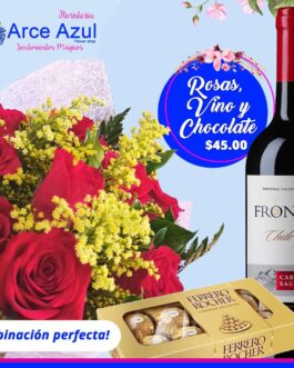 RA-012 Ramo de rosas rojas, chocolate y vino Frontera-Cabernet Sauvignon