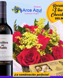 RA-011 Ramo de rosas rojas, chocolate y vino Casillero del Diablo-Merlot