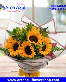 FA-01 Ramo de 8 Girasoles