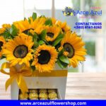 FA-05 Caja de Girasoles con Chocolates Ferrero