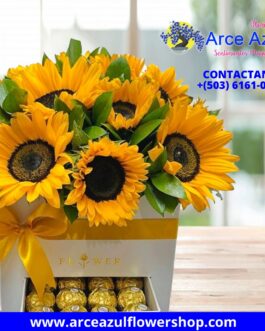 FA-05 Caja de Girasoles con Chocolates Ferrero
